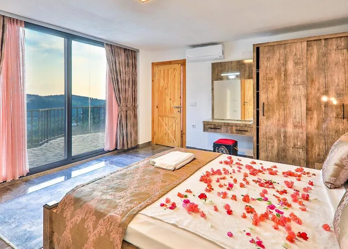 Myra فيلة كاس